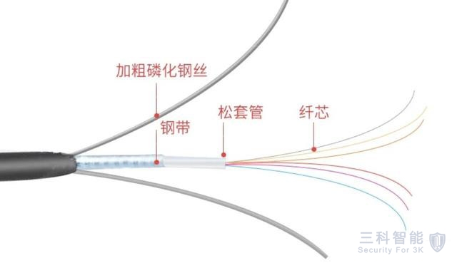 麻豆手机在线视频光纤